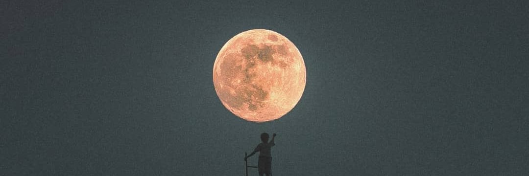 luanafernanda71's profile banner image