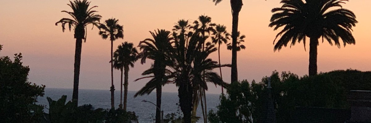 dch11's profile banner image