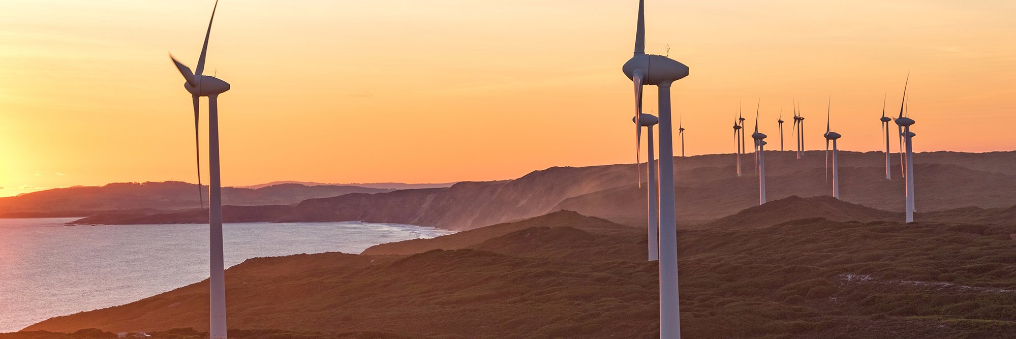 TheClimateInstitute banner