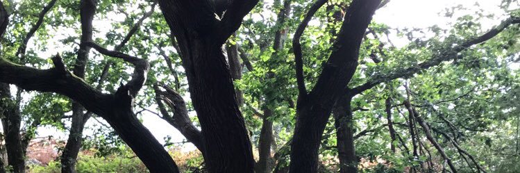 Mema_ali1995's profile banner image