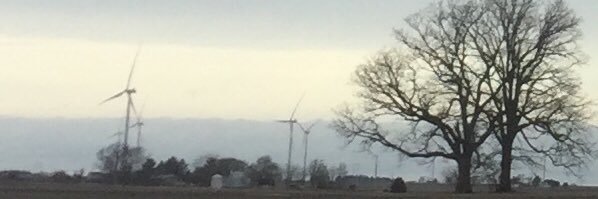 Courtney Monroe banner