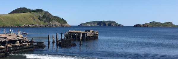 janewilcox Profile Banner