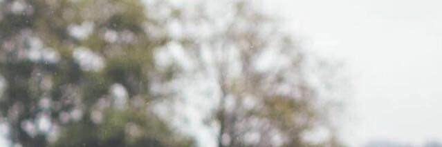 twooneall's profile banner image