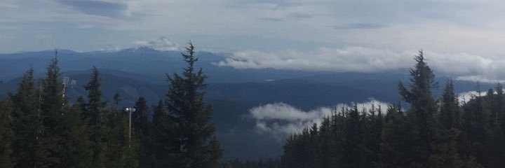 whittywit's profile banner image