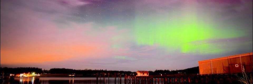 ted_d_bear76's profile banner image