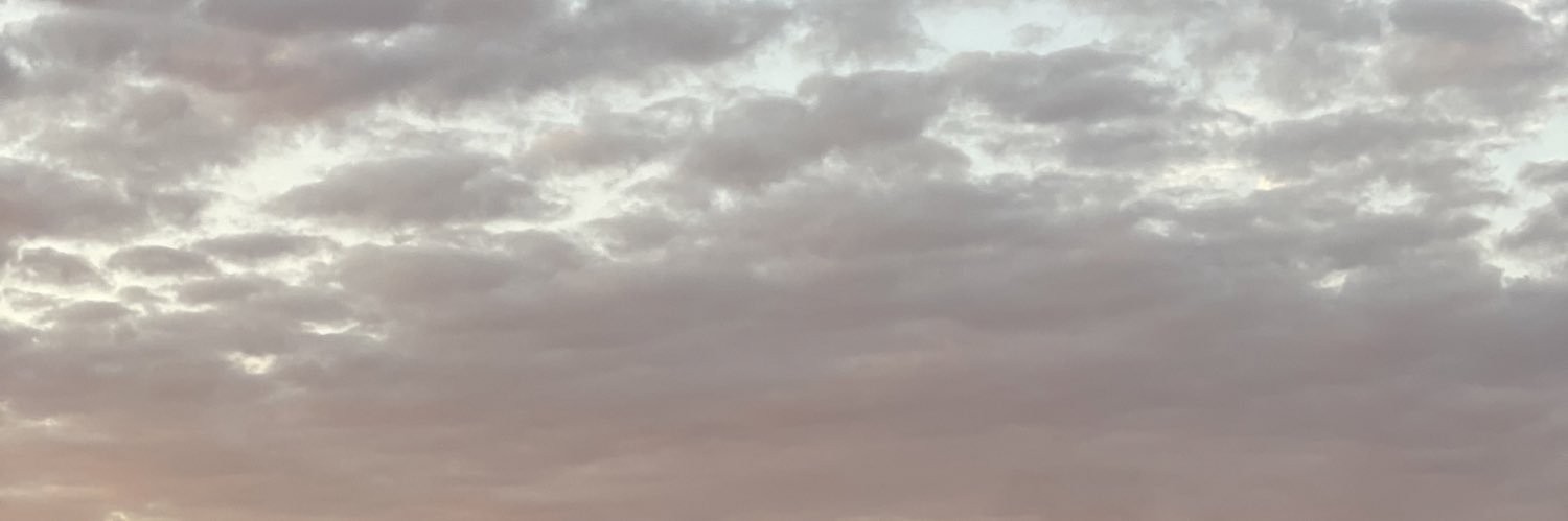 𑁍 banner
