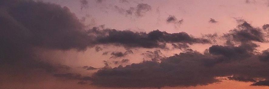 botanozok's profile banner image