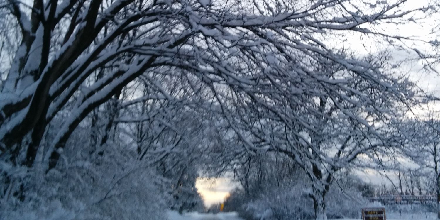 Jonathan Whitall banner