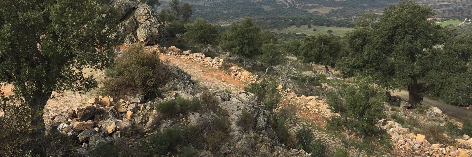 NachoTejeda's profile banner image