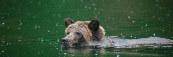 CN_Service Profile Banner