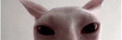 AH_wolfpack's profile banner image