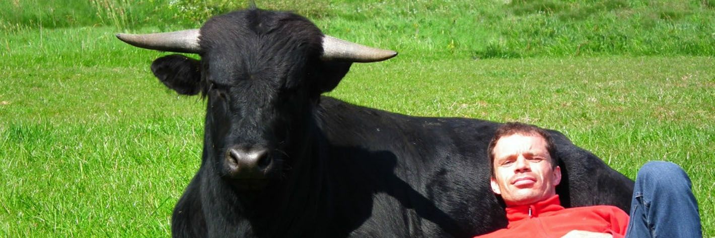 María B. Bonfante banner