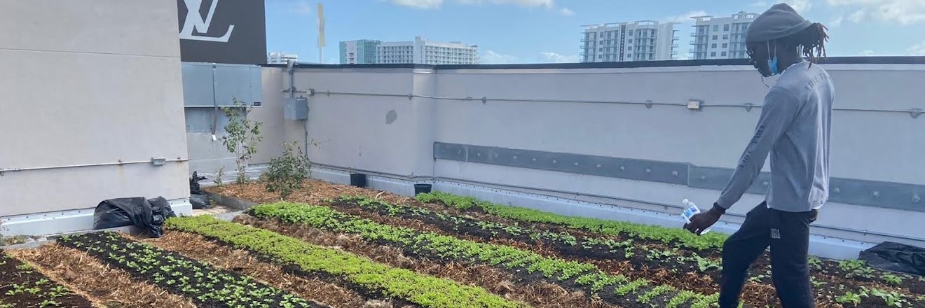 UrbanGreenWorks's profile banner image