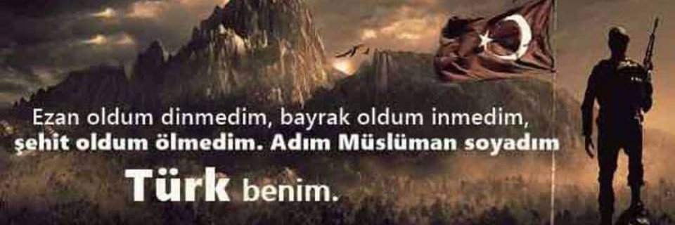 halilsms's profile banner image