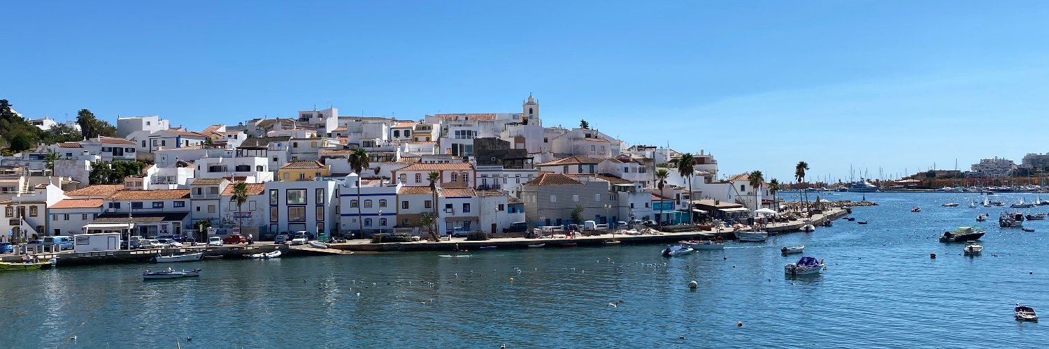 Anne-Marie McDermott 🇮🇪🇪🇺🏳️‍🌈 banner
