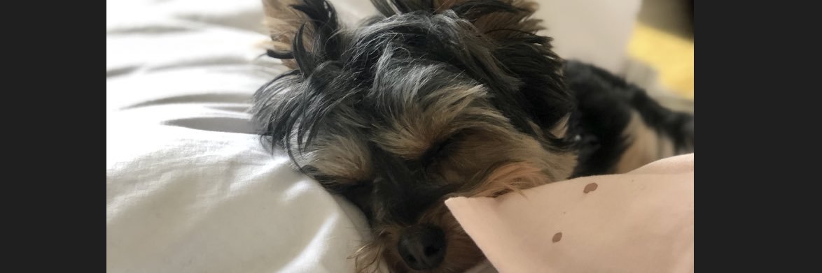 youneverwillbe's profile banner image