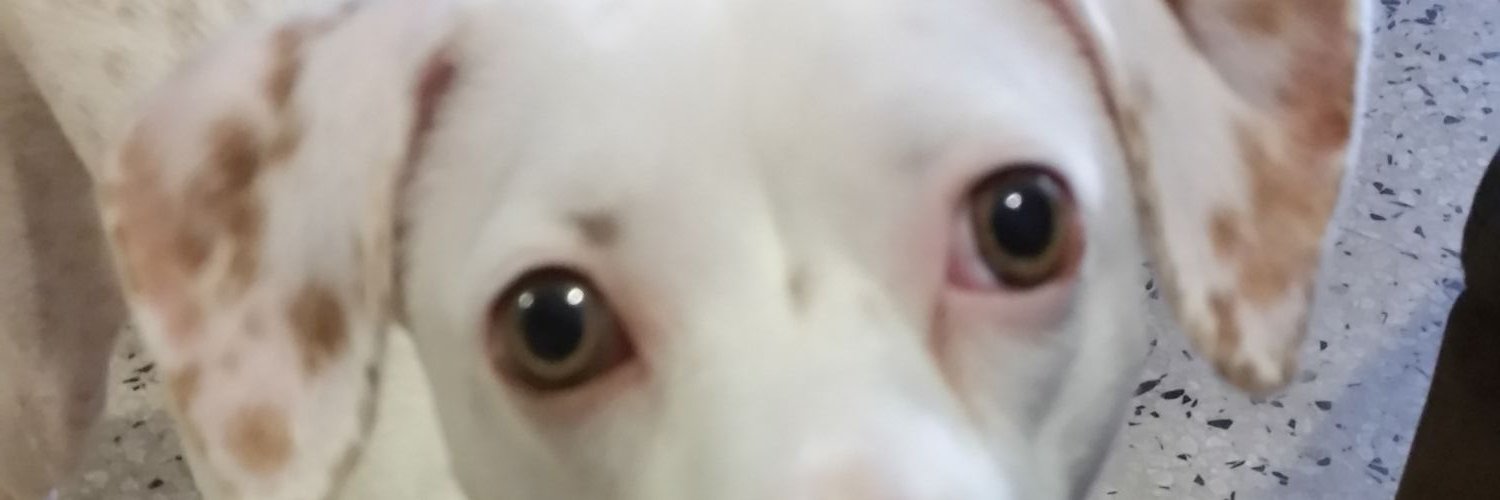 Maitee18's profile banner image