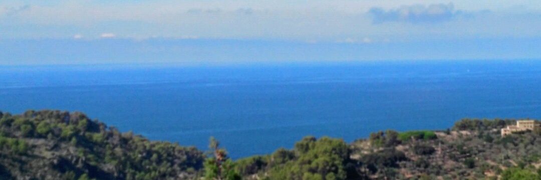 oclaramonteb's profile banner image