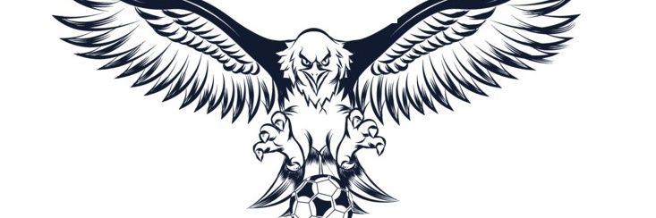 brillianty1's profile banner image