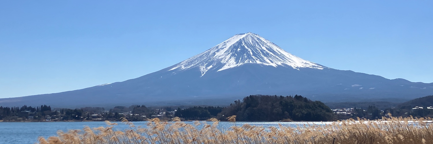 watti(わっち) banner