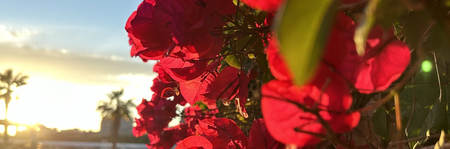 SierraRueda_'s profile banner image