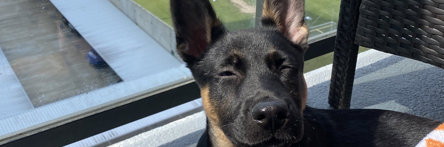 EmilyGoggans's profile banner image