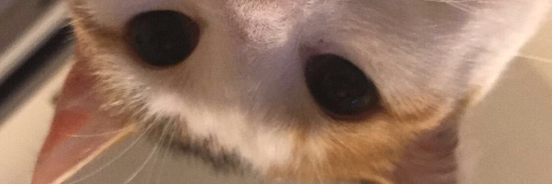 AlaynahM's profile banner image