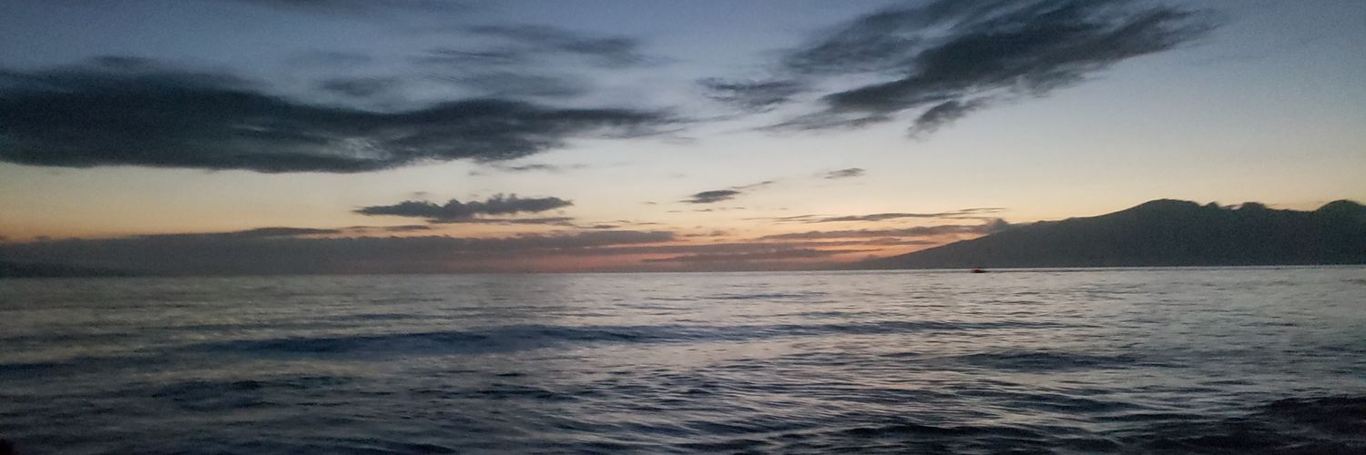 Lyssa0156's profile banner image