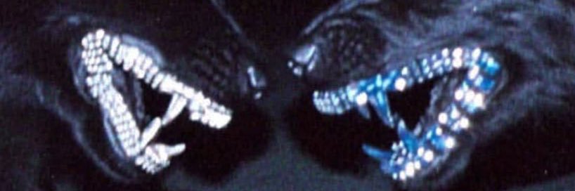 JessGotti_'s profile banner image