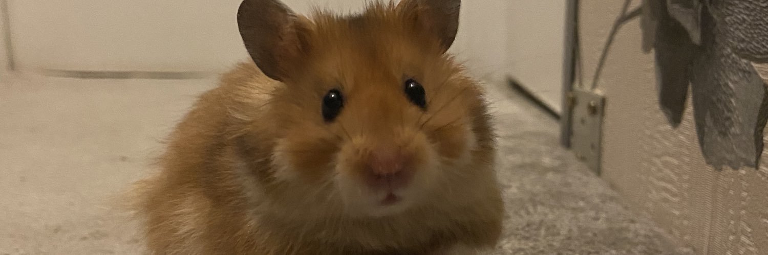 FinchKarris's profile banner image