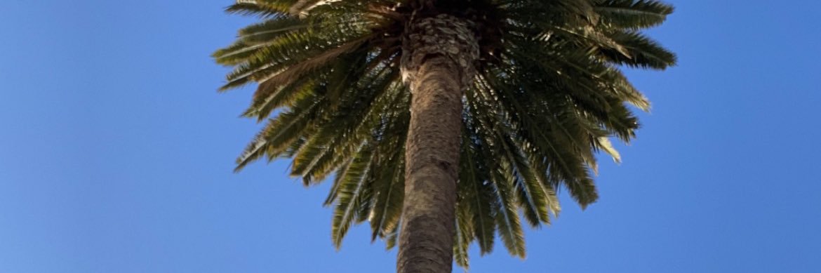 maddy_marriee's profile banner image