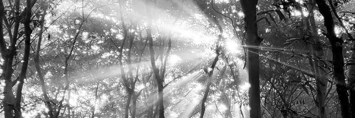 Arjitrock's profile banner image