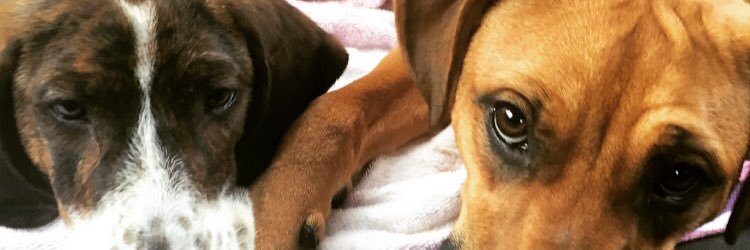 mKeip44's profile banner image