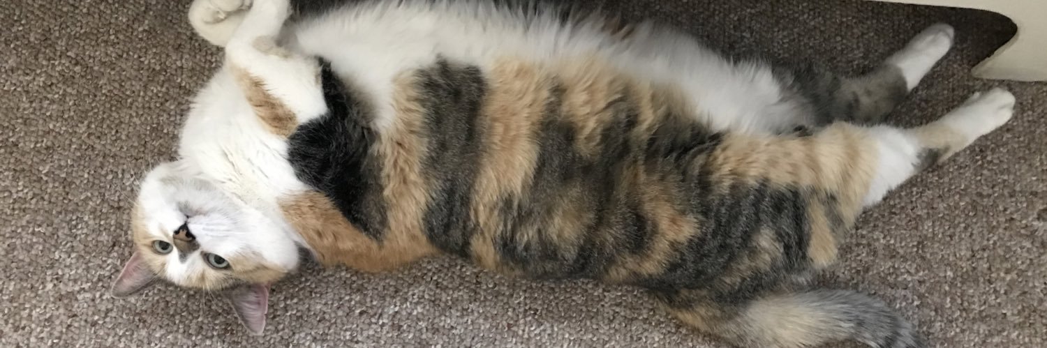 amandagass's profile banner image