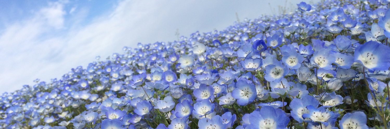 Leerankaree's profile banner image