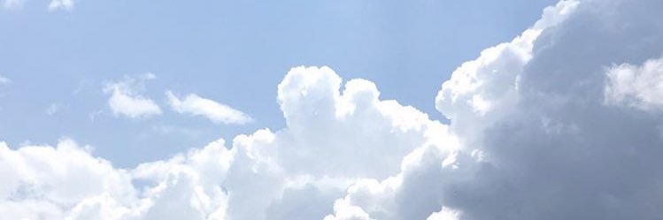 MariaFrancoGonz's profile banner image