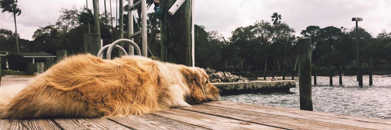 abbeybouchard's profile banner image