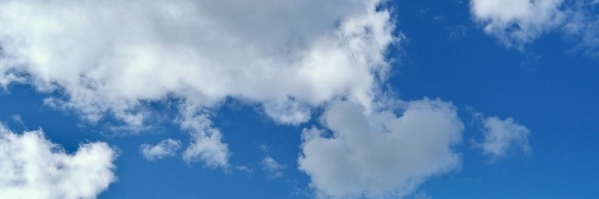 sam banner