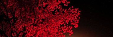 ABCZ_12345's profile banner image