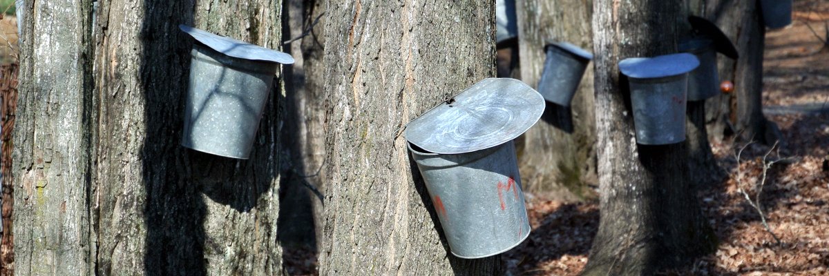 VisitWesternMA's profile banner image