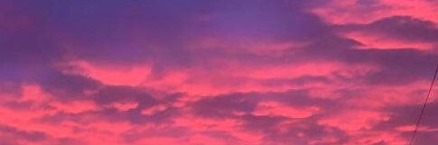 nicolecarnabuci's profile banner image