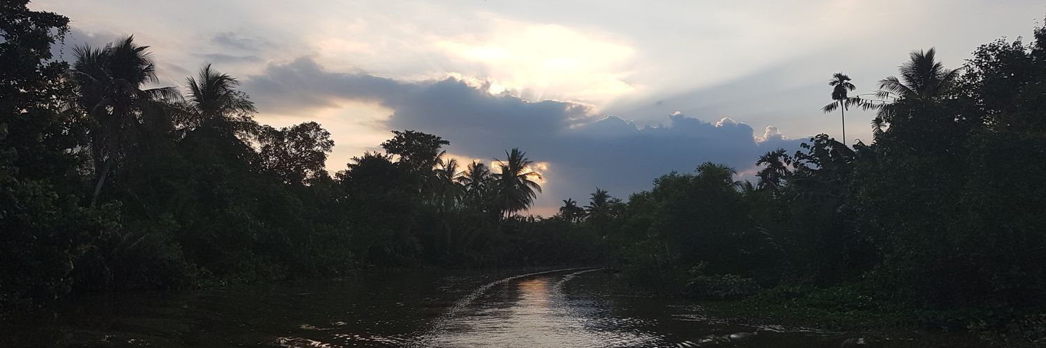 sararosetaylor's profile banner image