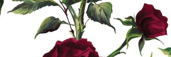 heel_feen's profile banner image
