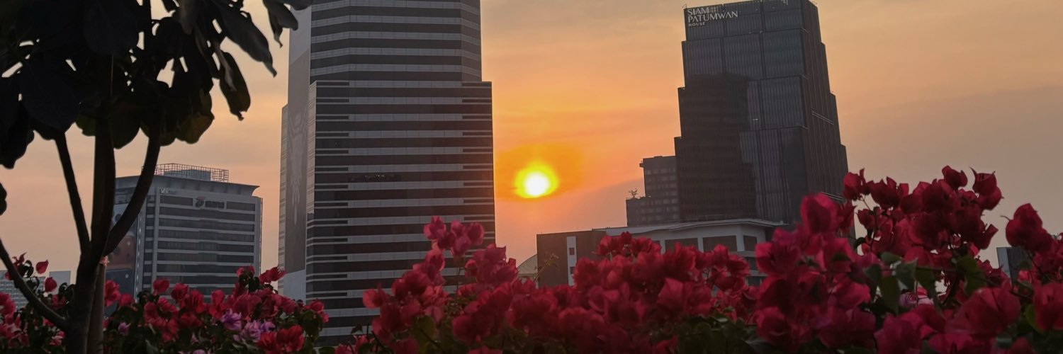 daisystarzz's profile banner image