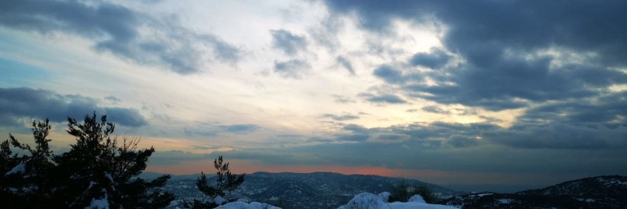 Moses_z's profile banner image
