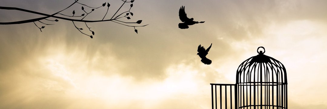 S_o_a_d22's profile banner image
