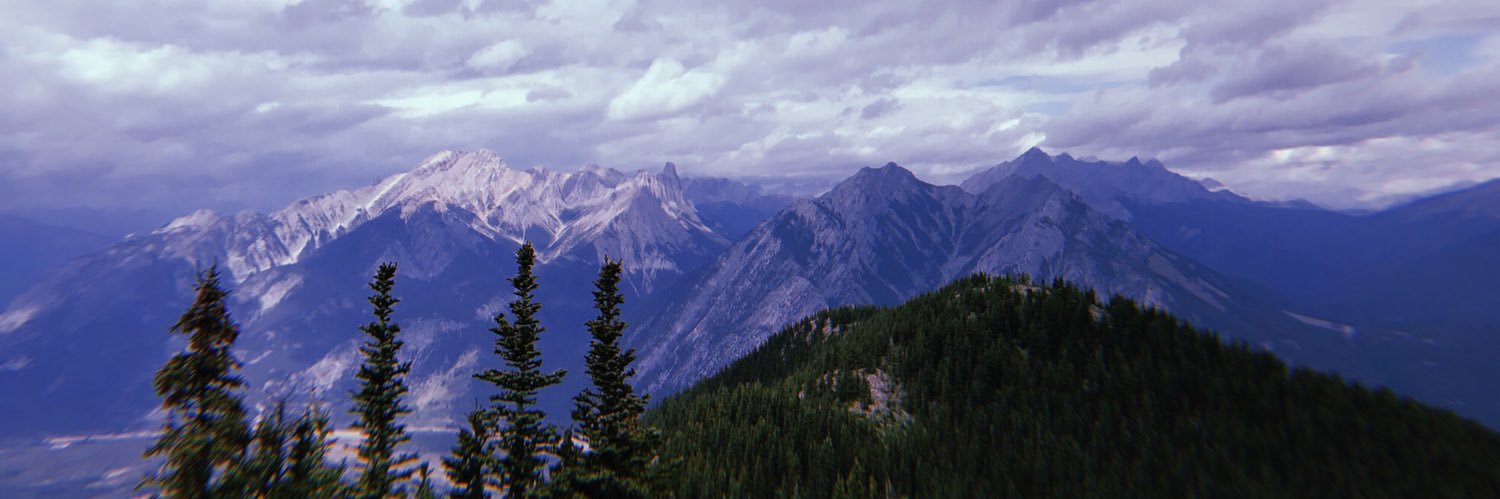 RuthBowerman_'s profile banner image