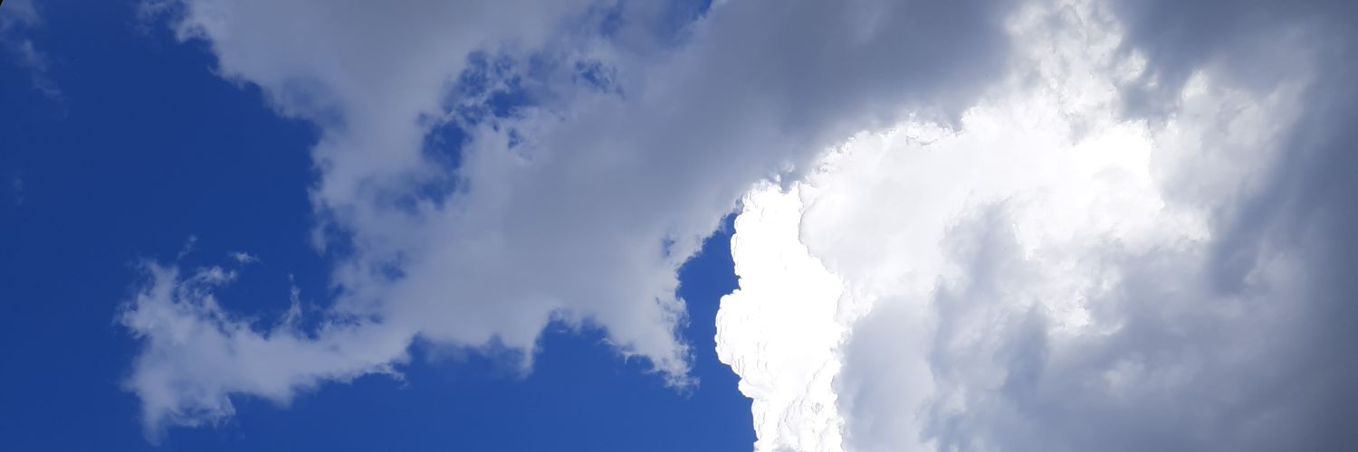 franchescapique's profile banner image