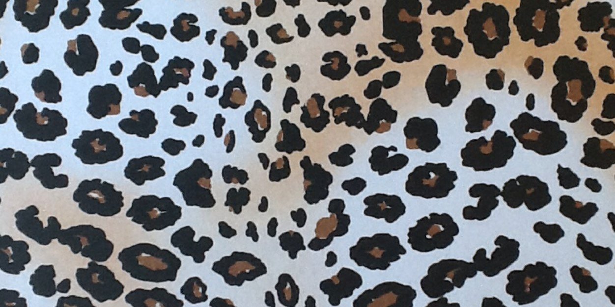 Amy Norkus banner