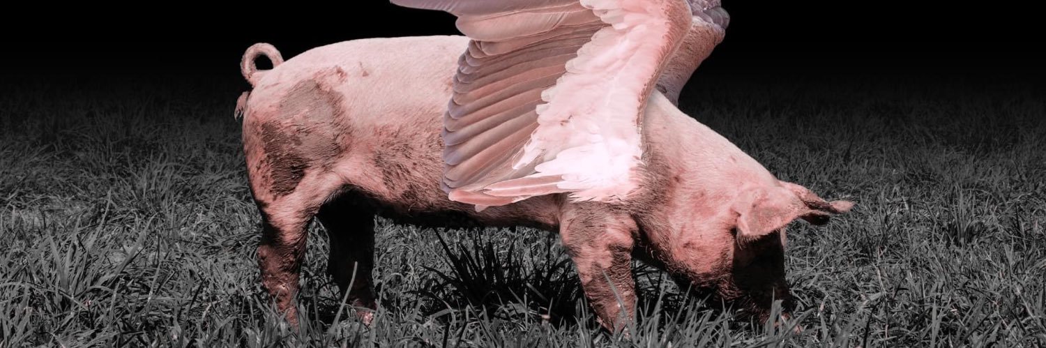 NOPROCEDE banner